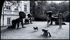 1 položka z fotogalerie, malé (thumbnail) ukázkové foto. David Černý - sochy